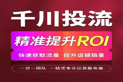百度竞价运营的挑战与机遇：成功案例探讨